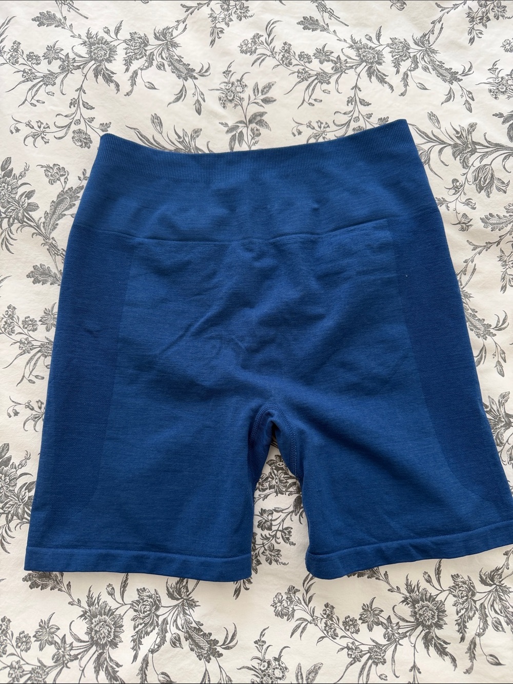 Inaka Seamless High-Rise Bike Shorts — Blue